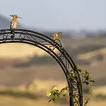 Vento D'orcia Pienza