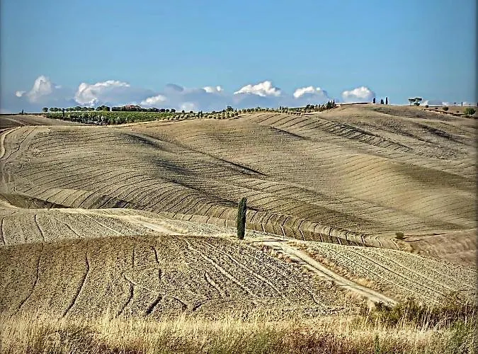 Vento D'orcia * 피엔자