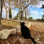 Vento D'orcia