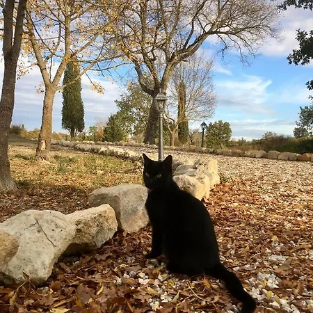 Vento D'orcia