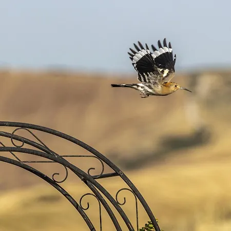 Vento D'orcia Gospodarstwo agroturystyczne Pienza