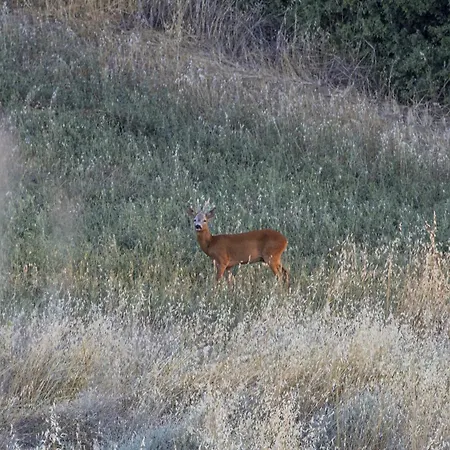 Vento D’orcia