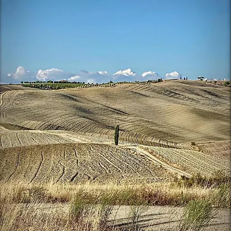 Vento D'orcia * Pienza